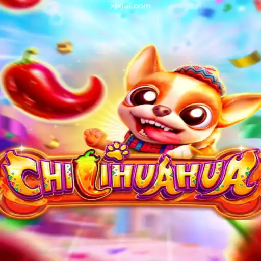Unveiling CHILIHUAHUA: A Thrilling Adventure with XJXJ Brasil
